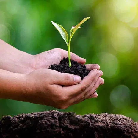 Vermicompost Fertilizer for Plants | 100% Organic Natural Manure for Healthy Growth (Pack of 2)