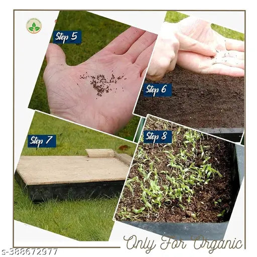 Mixed Flower Seeds – Easy to Grow, Ready-to-Use Pack with User Manual (High Germination, Full Sun Plants)