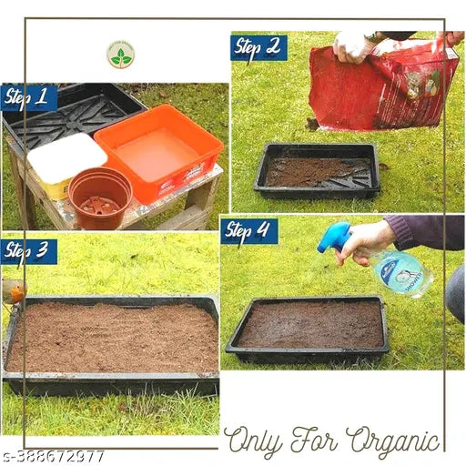 Mixed Flower Seeds – Easy to Grow, Ready-to-Use Pack with User Manual (High Germination, Full Sun Plants)