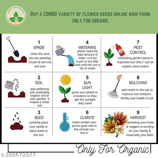 Mixed Flower Seeds – Easy to Grow, Ready-to-Use Pack with User Manual (High Germination, Full Sun Plants)