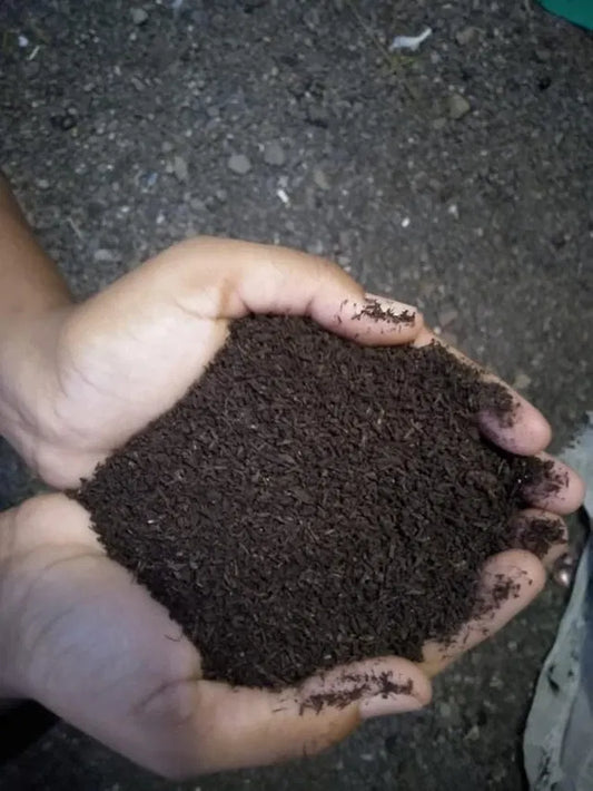 Vermicompost Fertilizer for Plants | 100% Organic Natural Manure for Healthy Growth (Pack of 2)